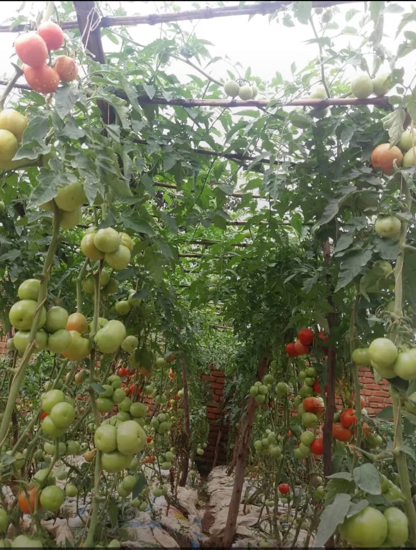 Domaine Économique (AGR)